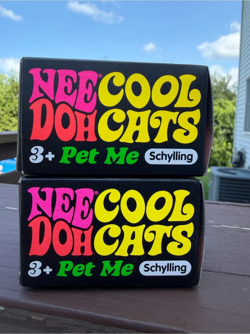 NeeDoh Cool Cats -Set of 2